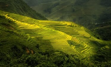 Sapa – Vietnam 7N 8D(North)