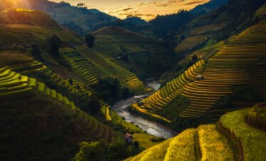 Ubud Trip – Bali Family Trip 4N 5D